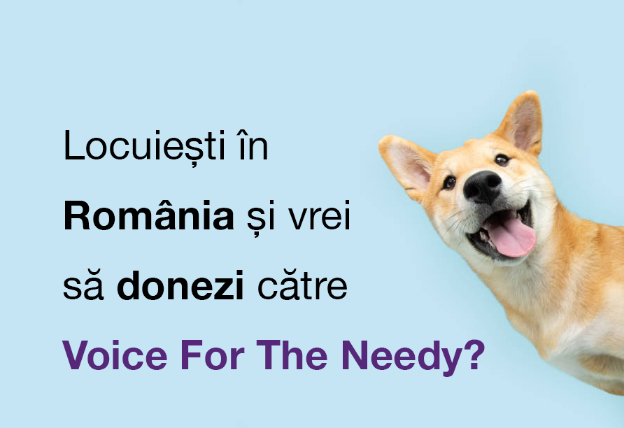 Locuiești în România și vrei să donezi către Voice For The Needy?