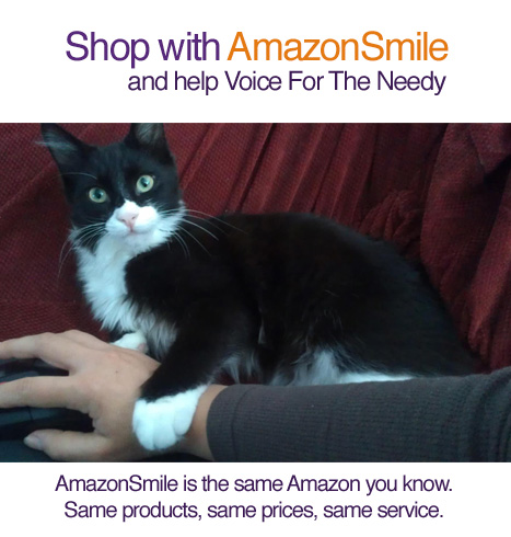 Shop at AmazonSmile and help Voice For The Needy Inc