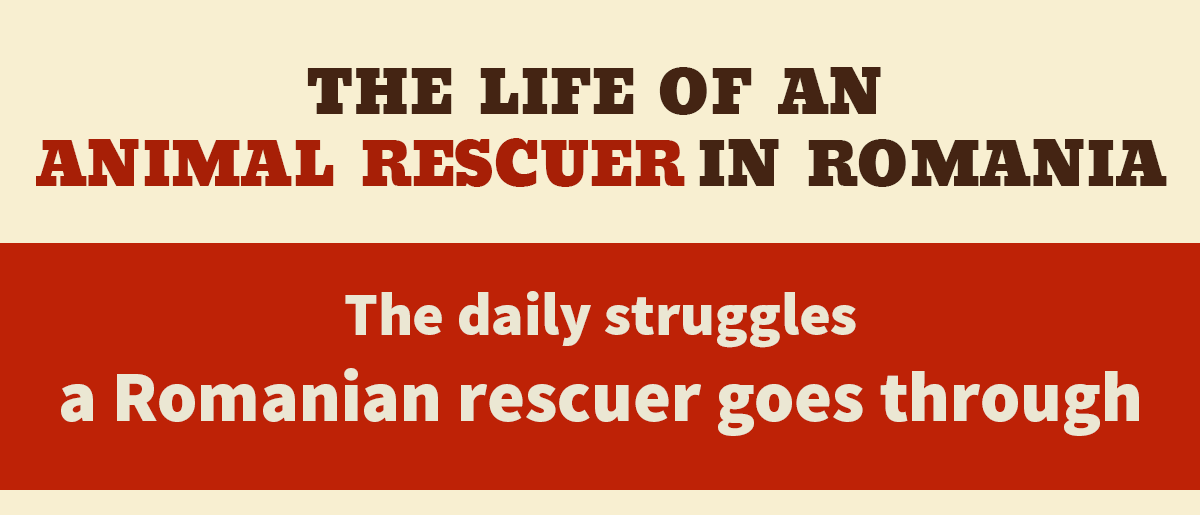 Life of a rescuer - image 1