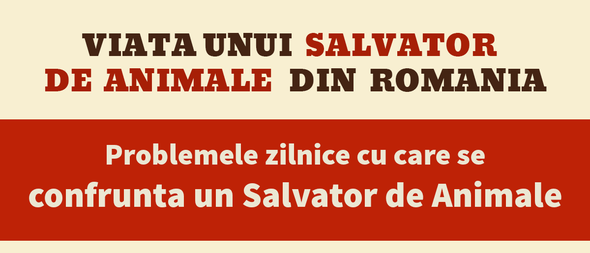 Viata unui salvator - imagea 1