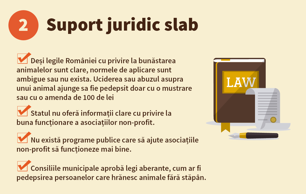 Viata unui salvator - imagea 3