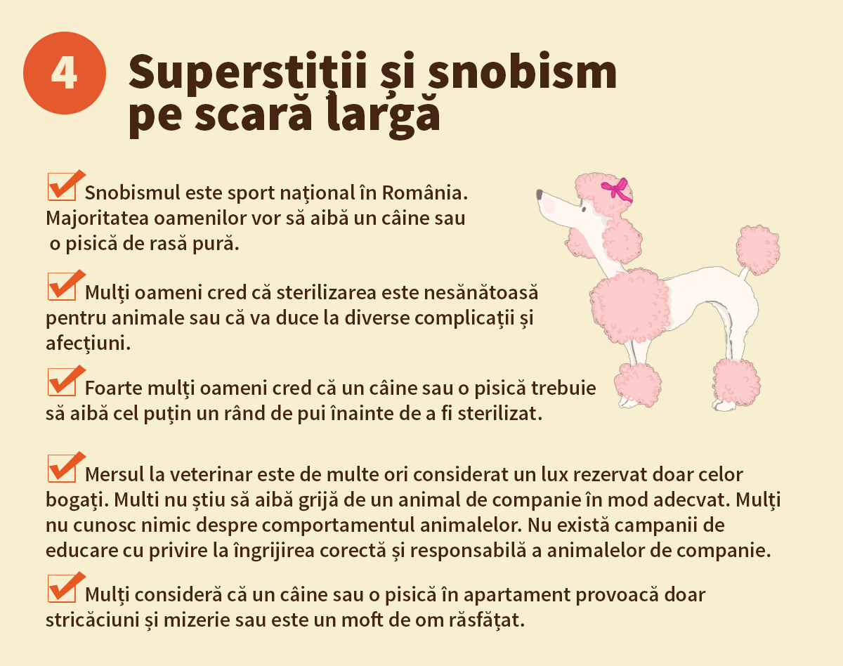 Viata unui salvator - imagea 5